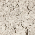 Cambria Axbridge Quartz Countertop slab