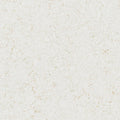 Daltile Outer Banks Quartz Countertop slab