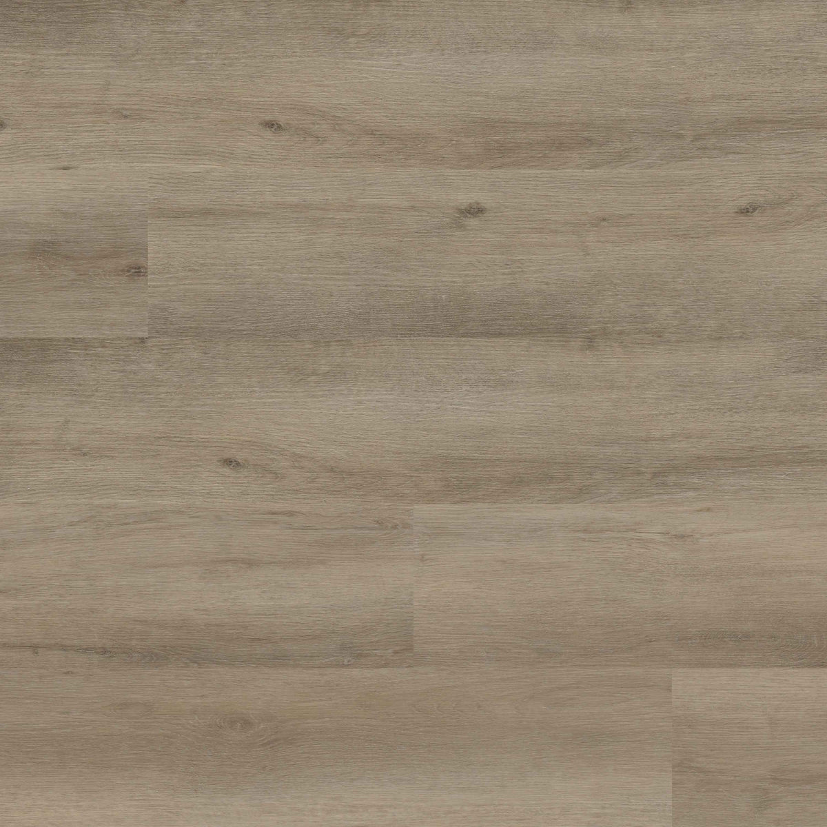 Lark Thumbnail