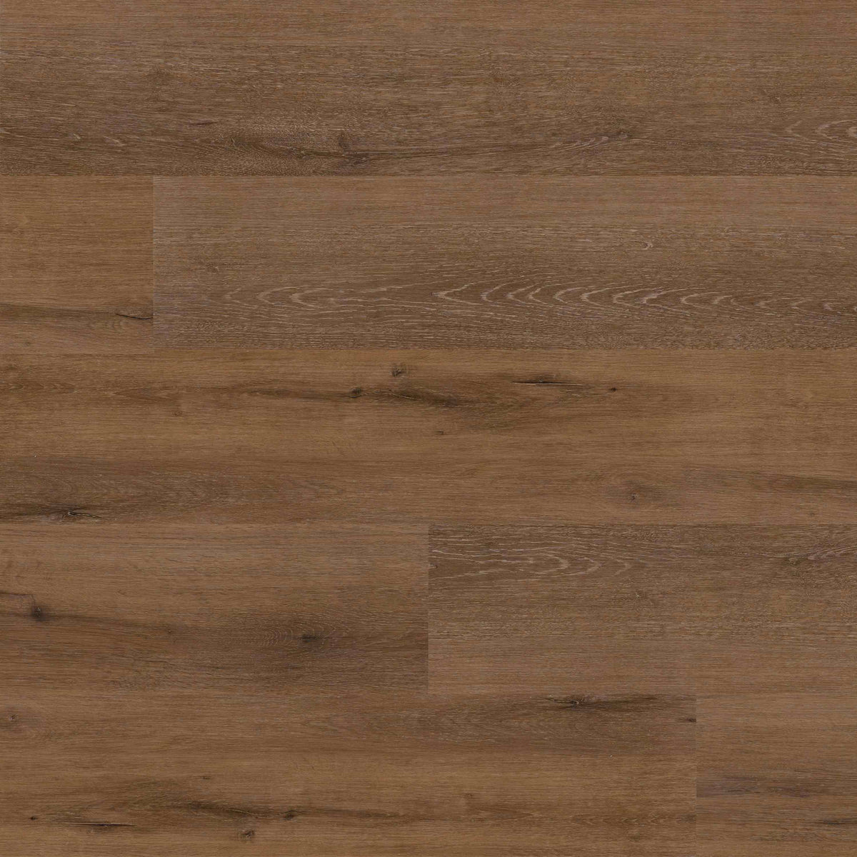 Malden Thumbnail