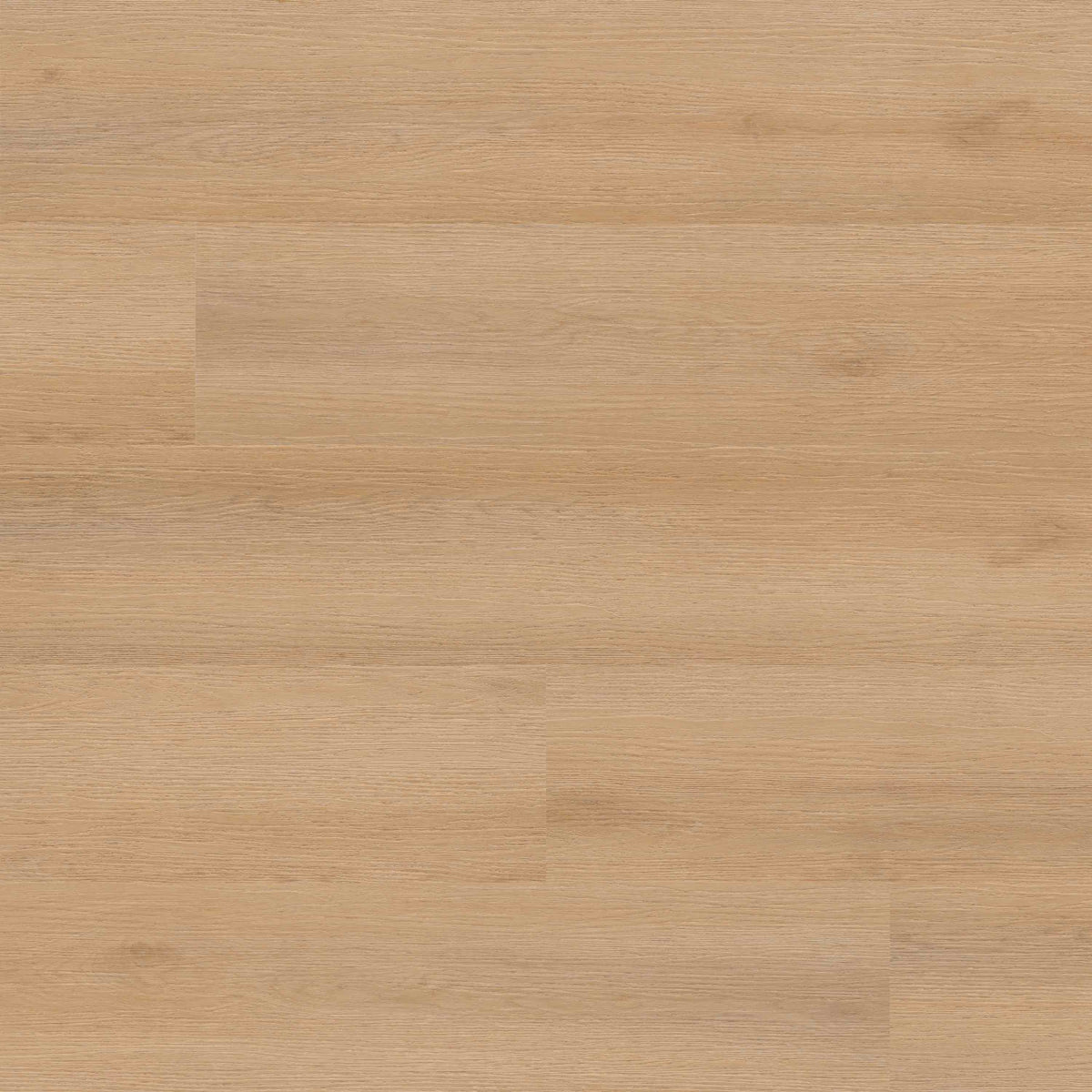 Quillian Thumbnail