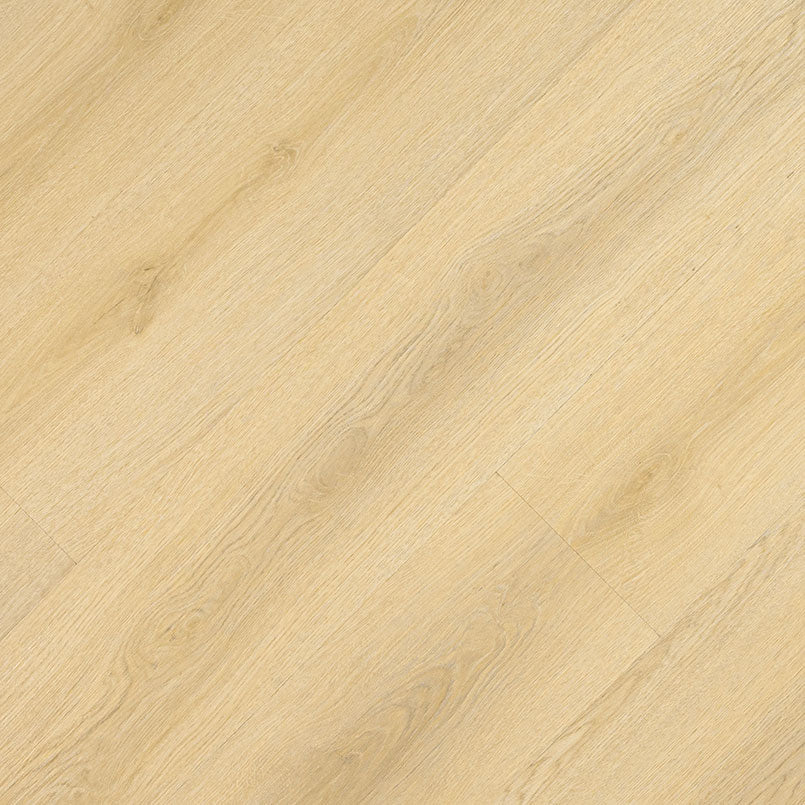 Tranquilla Laurel luxury vinyl flooring