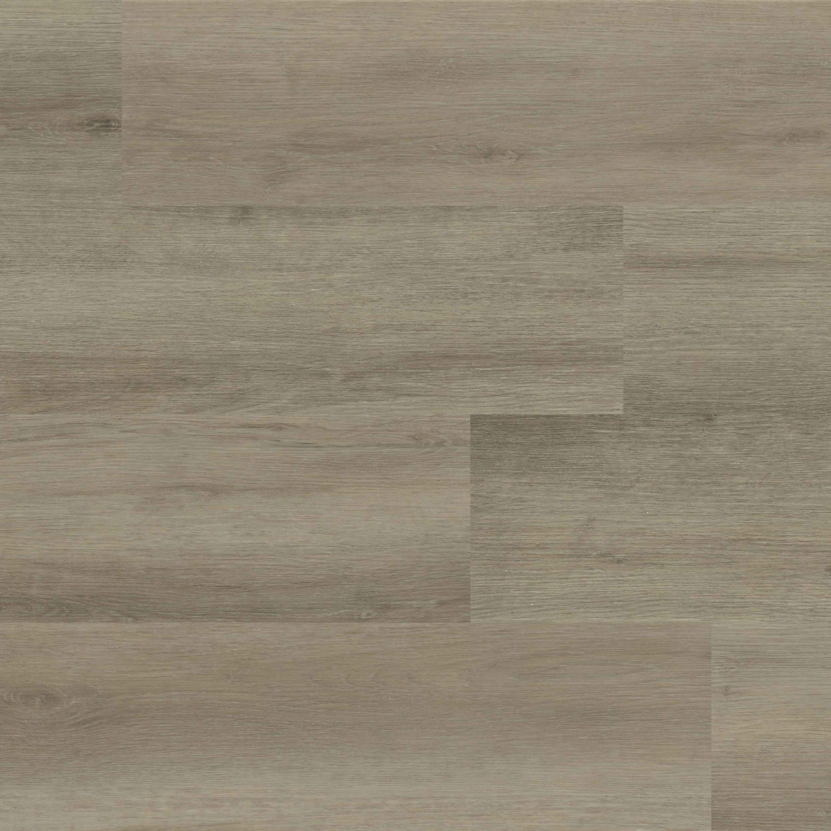 Lark Thumbnail